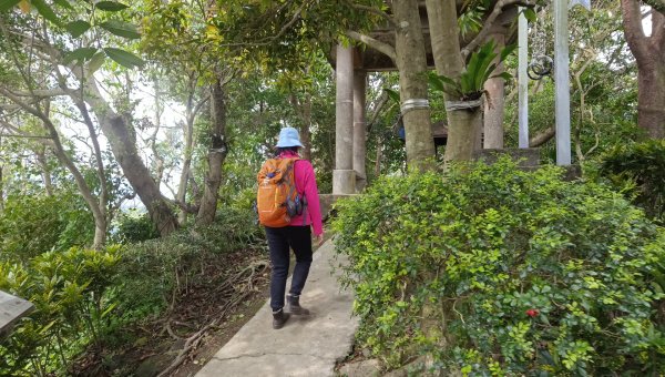 (姨婆趴趴走)第五十集:新北樹林大同山、青龍嶺、大棟山諸峰連走2751561