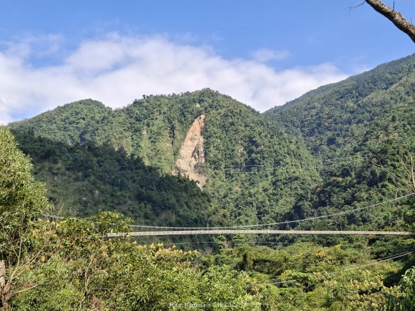 《南投》瀑布茶園｜竹山瑞龍瀑布步道及山坪頂茶山七星步道202609273124247
