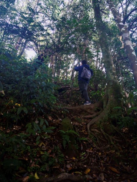 志繼山、東眼山O型1335791