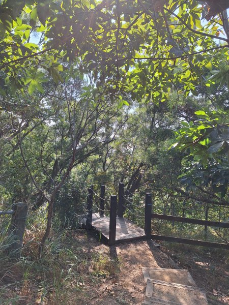 大肚環保公園步道+大尖山+萬里長城步道萬里長城步道202512072956506