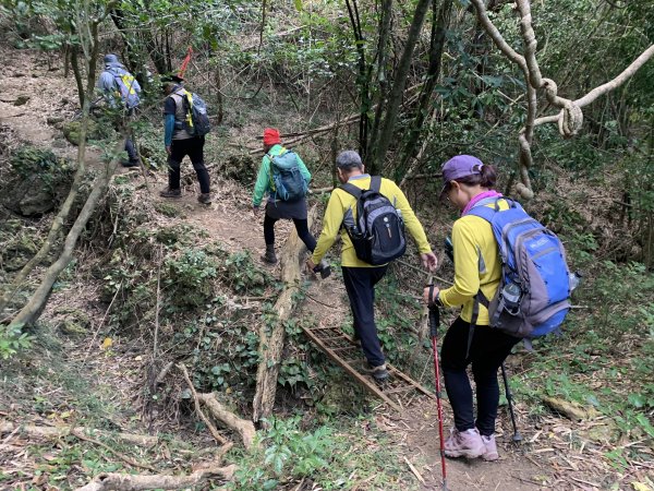 20250222屏東赤牛嶺-大山母山-小尖石山2719899