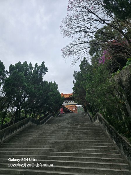 2026-02-28微笑山線：【大棟山系】405高地段3008675