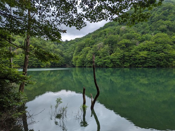 2023-06-14 十二湖（日本）2793200