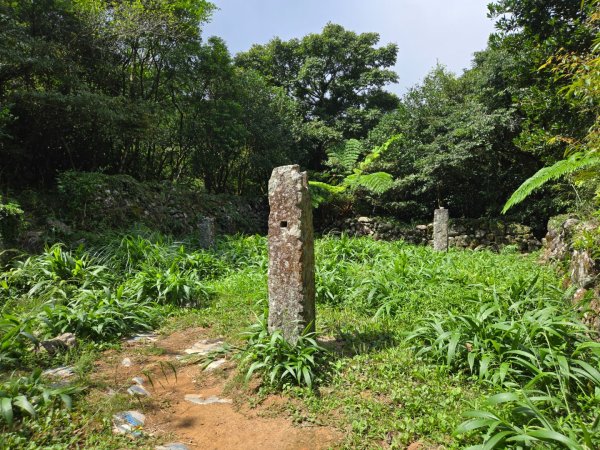 大屯主峰-連峰步道環形（小百岳）2904385
