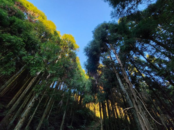 小百岳集起來-鵝公髻山2181602