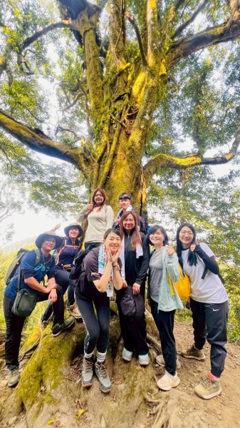 🌈3/21（六）頂湖上大凍山下奮起湖老街✨FB：熊熊趴爬走🌈3020184