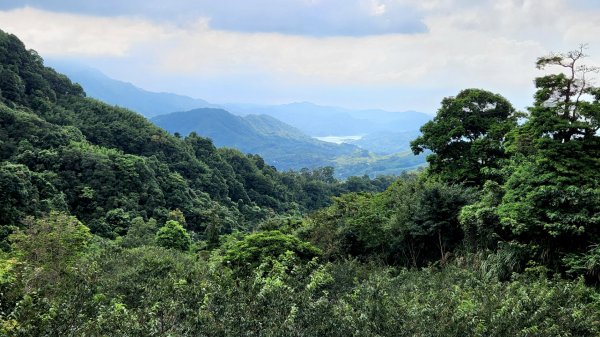 五寮尖，金平山，三民蝙蝠洞，觀音洞步道，基國派教堂，八德埤塘生態公園，中庄吊橋1798218