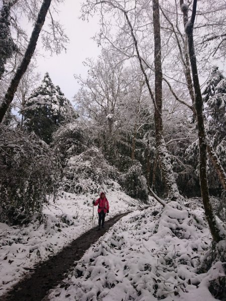 冰雪奇緣歷險記～加羅湖（未盡）1237662