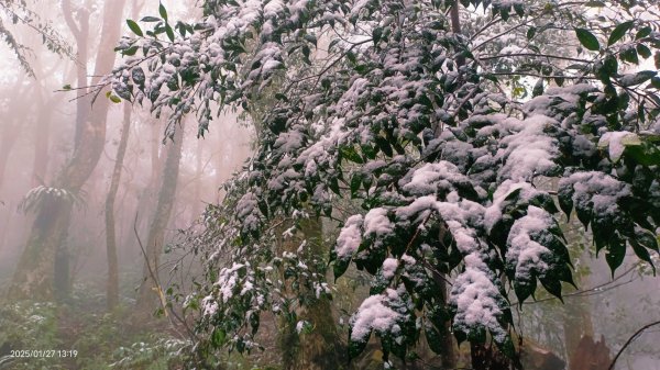 我的2025第一場雪，包場夫婦山，獨享差強人意的雪景&雲海。1/272699847