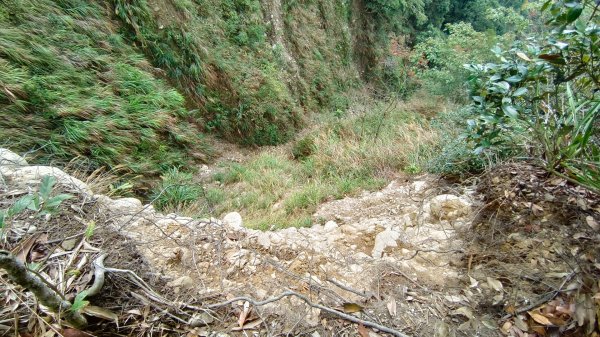 石苓湖山（頭嵙南峰）/黑山/黑山北峰/頭嵙山1585862