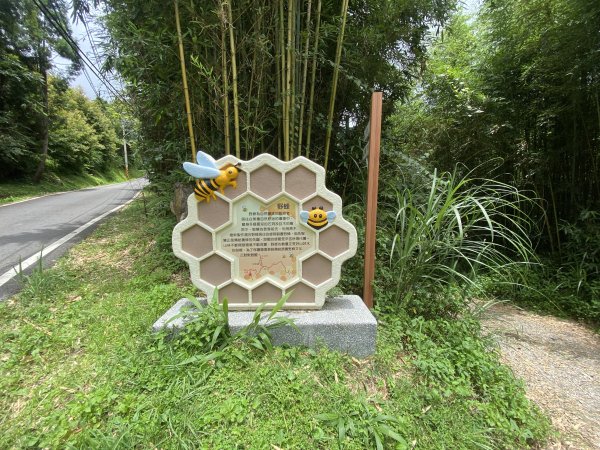 20250705-Ep.02白蘭溪古道-2025森遊竹縣皮皮獅探險隊2851380