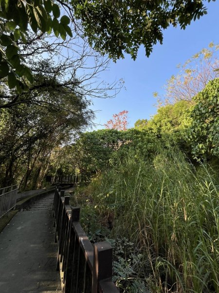 知高圳步道2711622