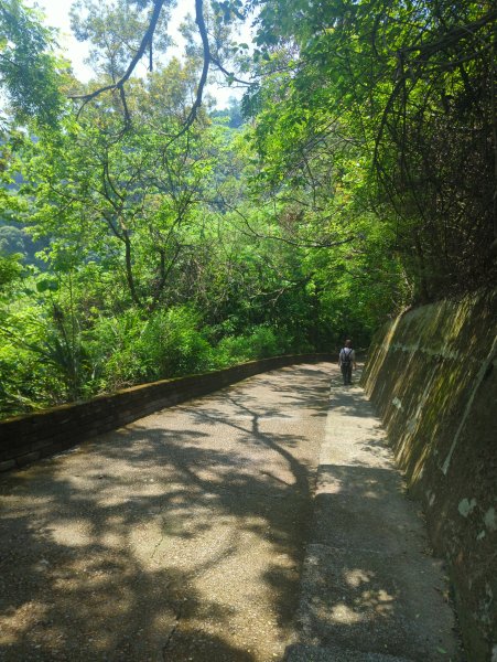 2026.05.02－聚興山步道3045931
