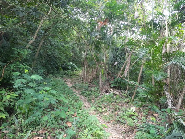 圓通寺烘爐地登山步道1425378