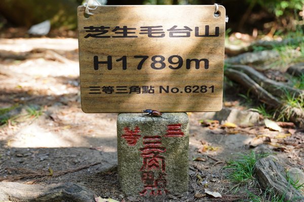 新竹 尖石 芝生毛臺山封面