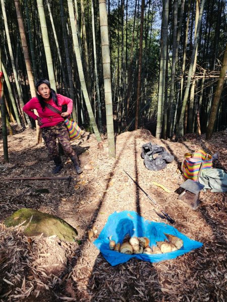 溪頭四秀 - 南投縣鹿谷鄉3023264