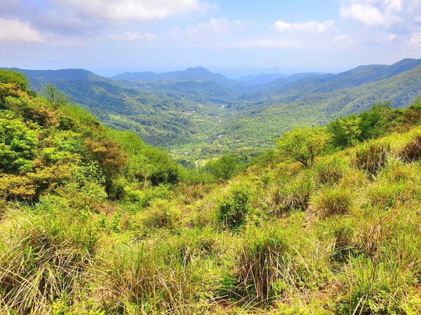 頂山，石梯嶺，竹篙山，雞心崙，五指山，梅花山，香對山，雙溪溝古道，風櫃嘴步道，土城明德山1664618