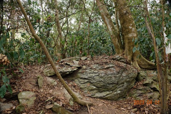 高雄 茂林 真我山2096188