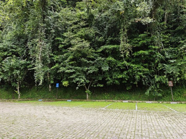 2025_0713 拉拉山神木群步道2837262