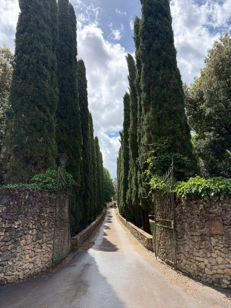 Via Francigena D2: Colle di Val d’Elsa-Monteriggio3072732