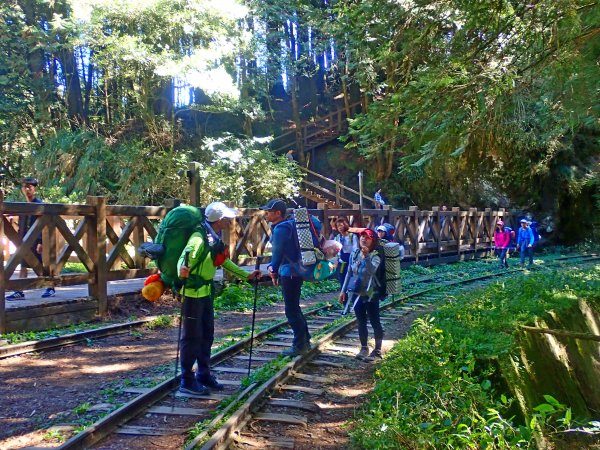 再訪眠月線 2019/11/23-24753039