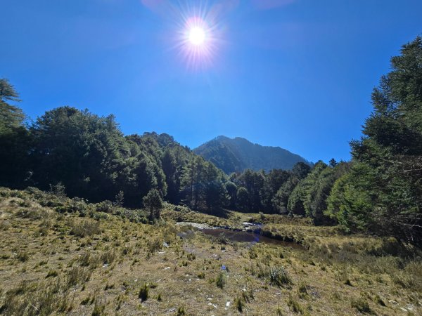 卓社大山〔武界栗栖溪登山口起登〕2748495