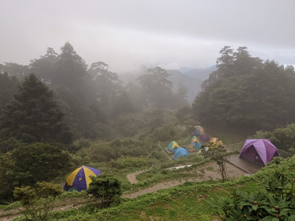 二刷奇萊南華之霧雨來攪局1147735