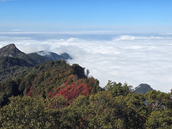 鳶嘴稍來山之楓紅／雲海2974048