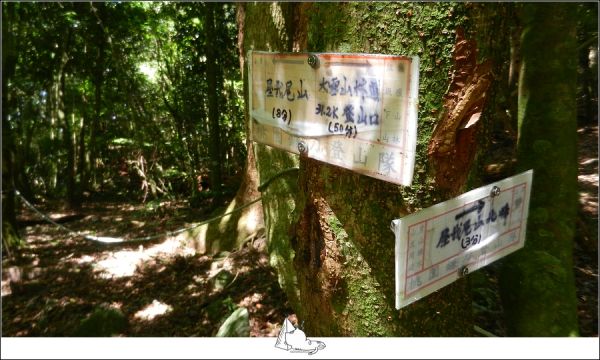 谷關七雄之，霧行屋我尾山411016