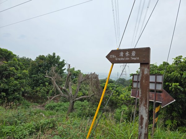 山湖步道~長青自行車道(清水岩寺）登橫山2514149