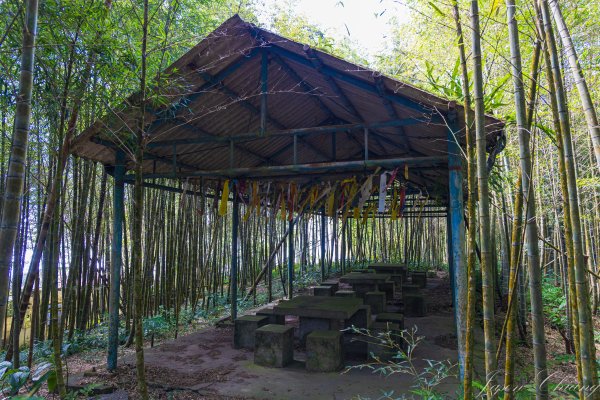 [南投]集集大山2940653