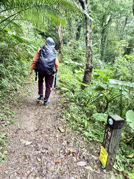 雙流帽子山悠遊  2025.01.032688551