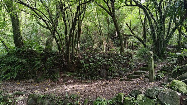 楊廷理古道2814595