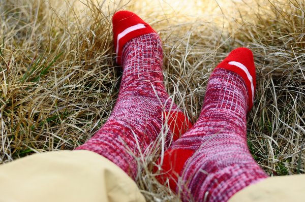 武法奈尾山天巒池872537