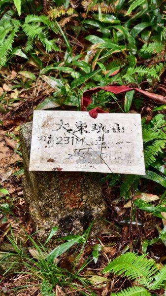 關西大東坑山/草長難過  順訪東安古橋2930517