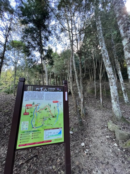 中級山-加里山封面