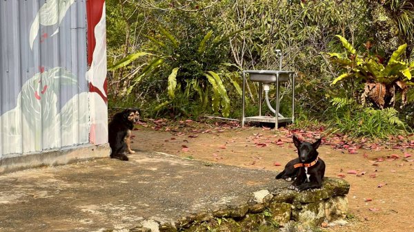 🌈1/24（六）-25（日）大同大禮部落+小百岳-立霧山✨FB：熊熊趴爬走🌈2987851