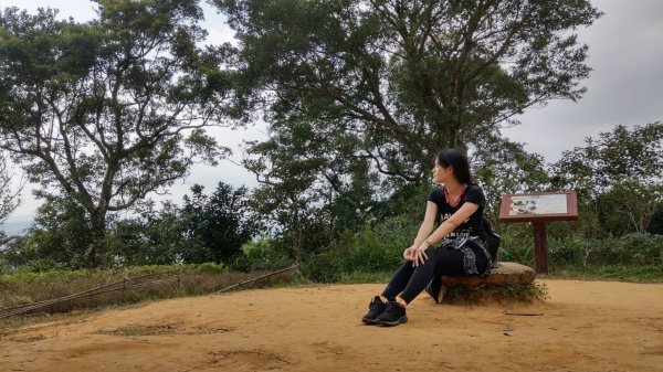 台北市大湖白鷺鷥山步道716554