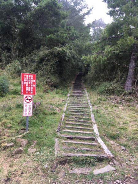 鹿林山388560
