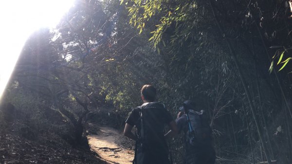 馬那邦山步道(珠湖登山口上)1585919