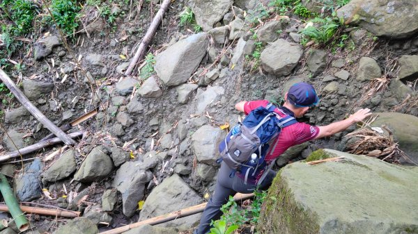 嚼嚼斯古道部落探勘鱉頭山~象山 2024年9月28日2615628