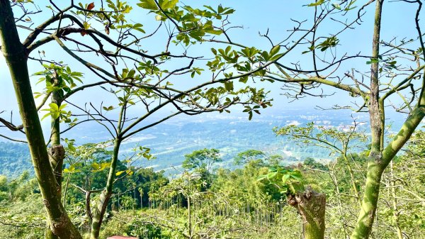 笠頂山(小百岳#76)2730828