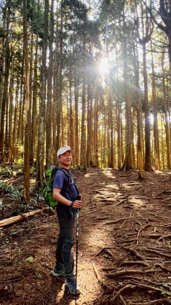 🌈11/9(日)高島縱走~高台山連走島田山山徑✨FB：熊熊趴爬走🌈2932502