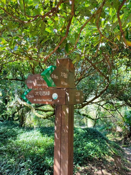 大屯山泥巴滑溜溜914383