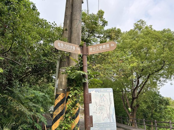 小崗山健行步道2909436