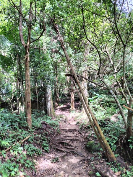 五指山登山步道2269247