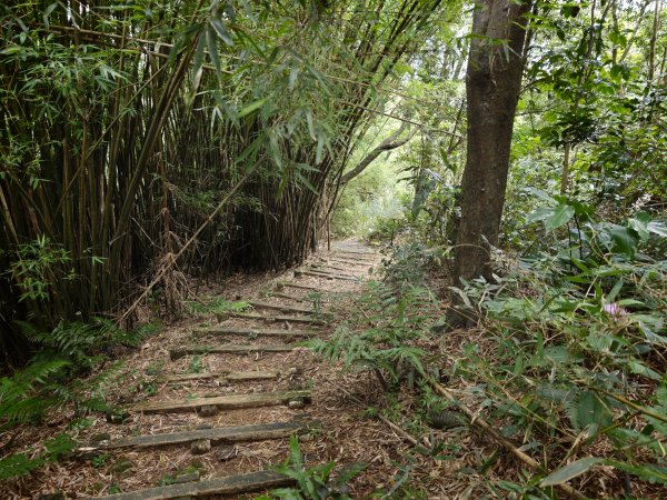 [淡蘭古道] 2026_0531 北路第四段_金字碑古道(上)-牡丹段3071017