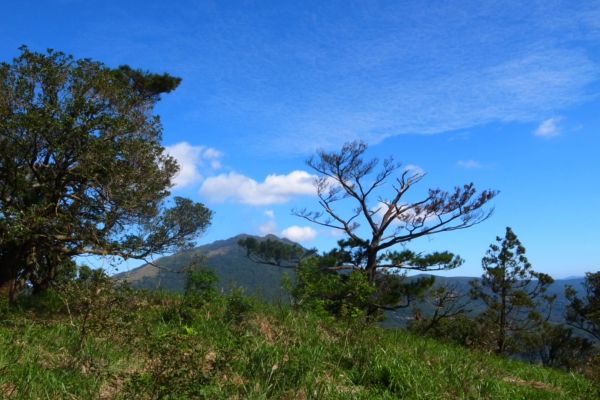 雷隱橋頂湖山O型走中正山觀景台(舊照片)393056