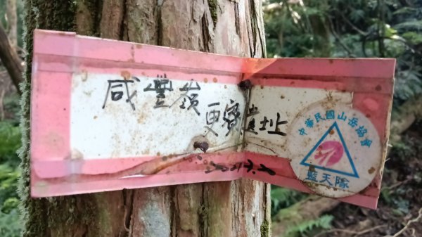 平溪區東勢格古道-咸豐嶺烽火台-峭壁雄峰-三抱竹鞍-白石後仙洞-東勢格古道P字走3126876