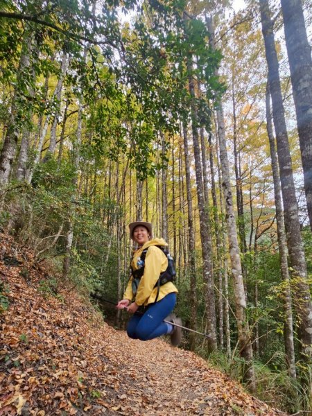 霞喀羅古道全線解鎖（石鹿到養老）2961038